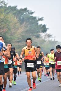 BIB: 41492, 221, 47110
                            <button type="button" onclick="openModal(10135890)" class="btn btn-primary btn-sm float-right btn-popup" data-toggle="modal" data-target=".modal-high-quality">
                        <i class="fas fa-shopping-cart"></i> Add to Cart
                    </button>
                                            <button type="button" onclick="isThisMe(10135890, true)" class="btn btn-success btn-sm float-right btn-popup btn-isme hidden" data-toggle="tooltip" data-placement="bottom" title="นี่คือรูปของคุณใช่ไหม คลิกที่นี่เพื่อเอาเข้าอัลบั้ม">
                        <i class="fas fa-plus"></i> Add to album
                    </button>
                    <button type="button" onclick="isThisMe(10135890, false)" class="btn btn-warning btn-sm float-right btn-popup btn-isnotme hidden">
                        <i class="fas fa-ban"></i> Remove from album
                    </button>